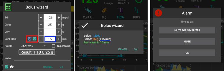 Bolus-Rechner mit Essenserinnerung