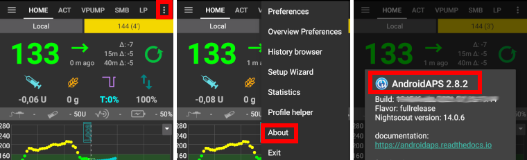 Installierte AAPS Version